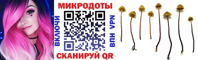 Галлюциногенные грибы прущие грибы Северск